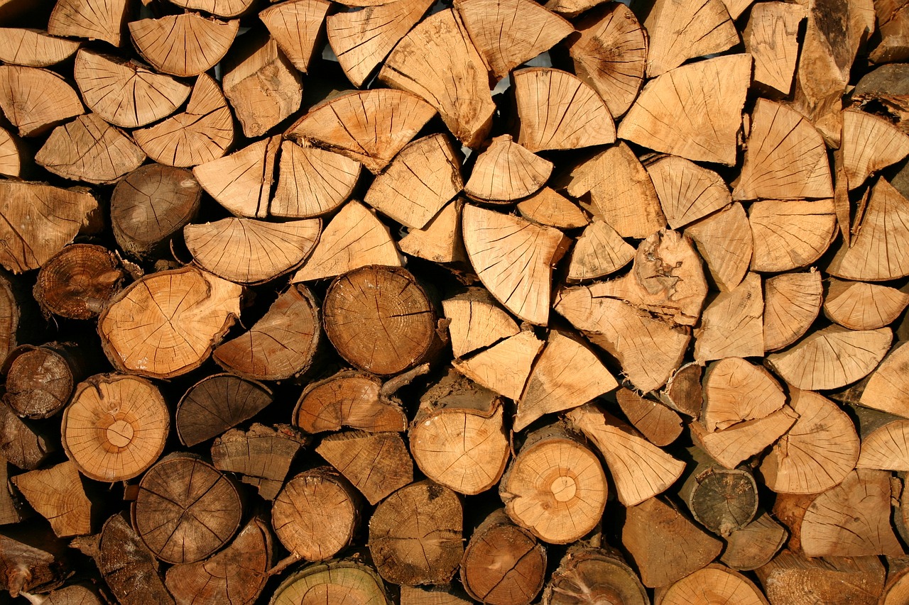 Holzscheite aufgestapelt