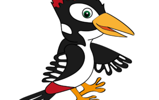 Bild von einem Buntspecht-Vogel in rot, schwarz, gelb